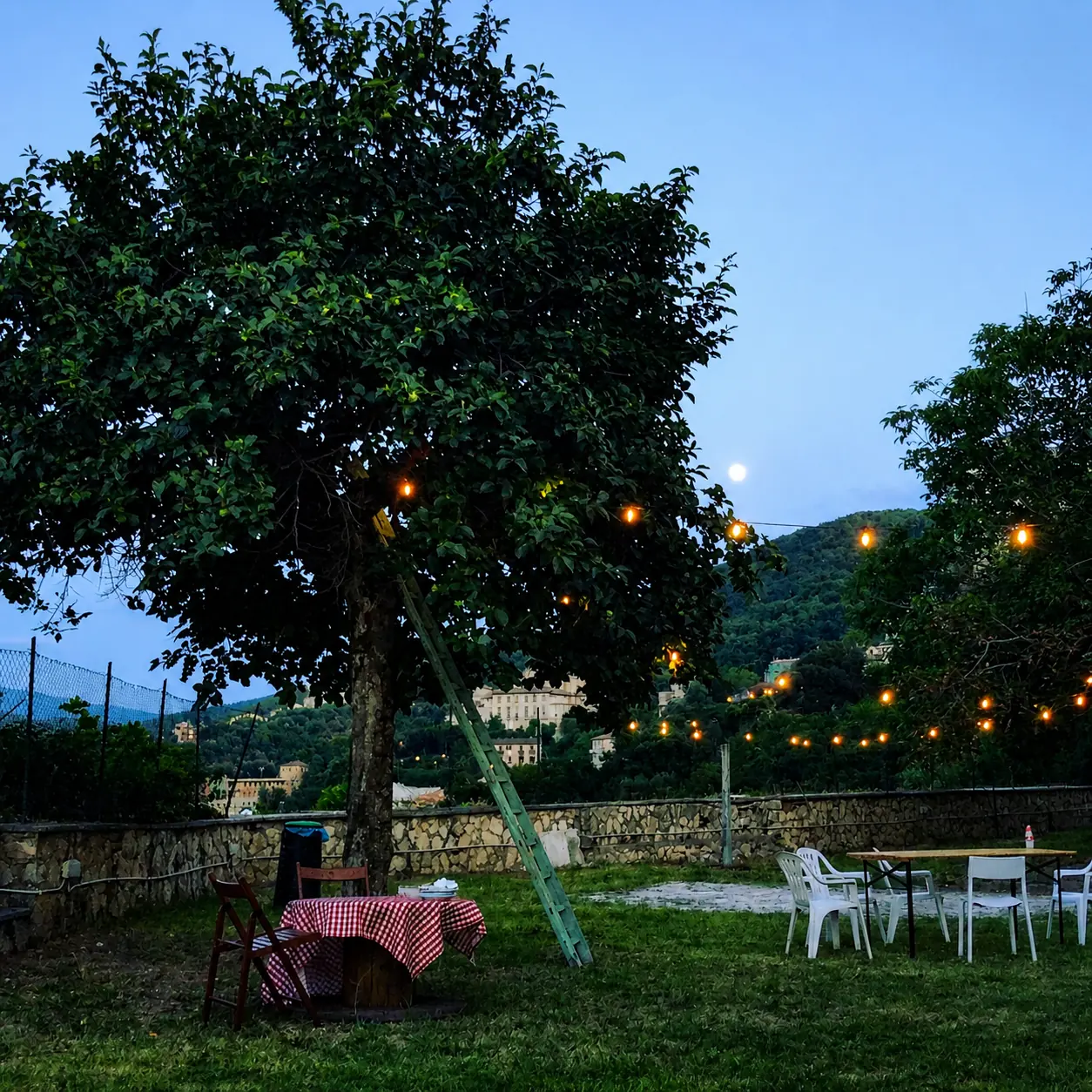 Giardino di Domus Narnia con grande albero e catene di luci all'imbrunire